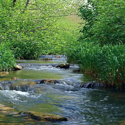 CREEK